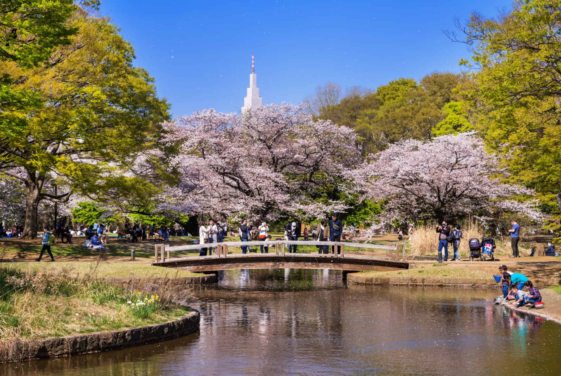 parc yoyogi