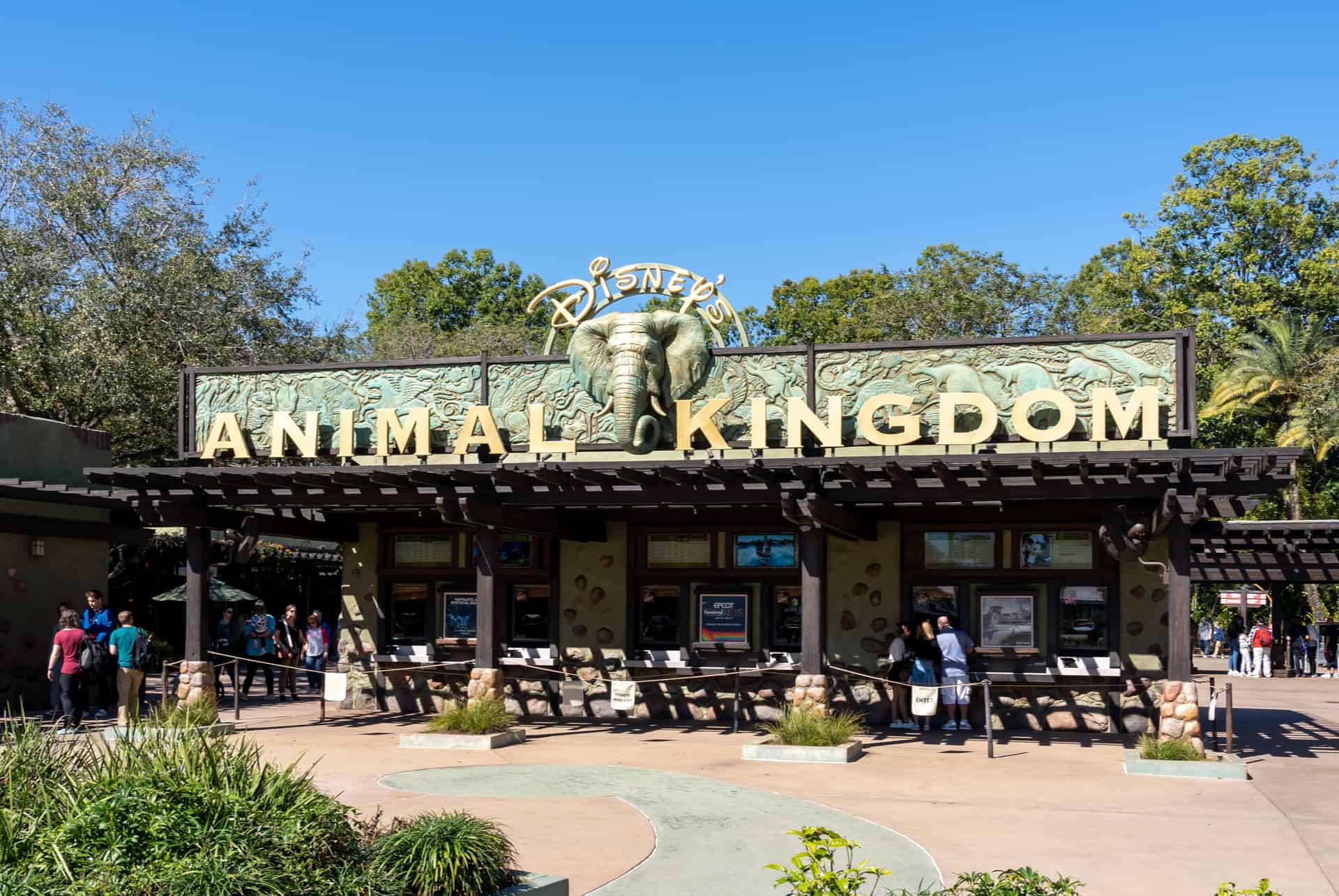 disney animal kingdom