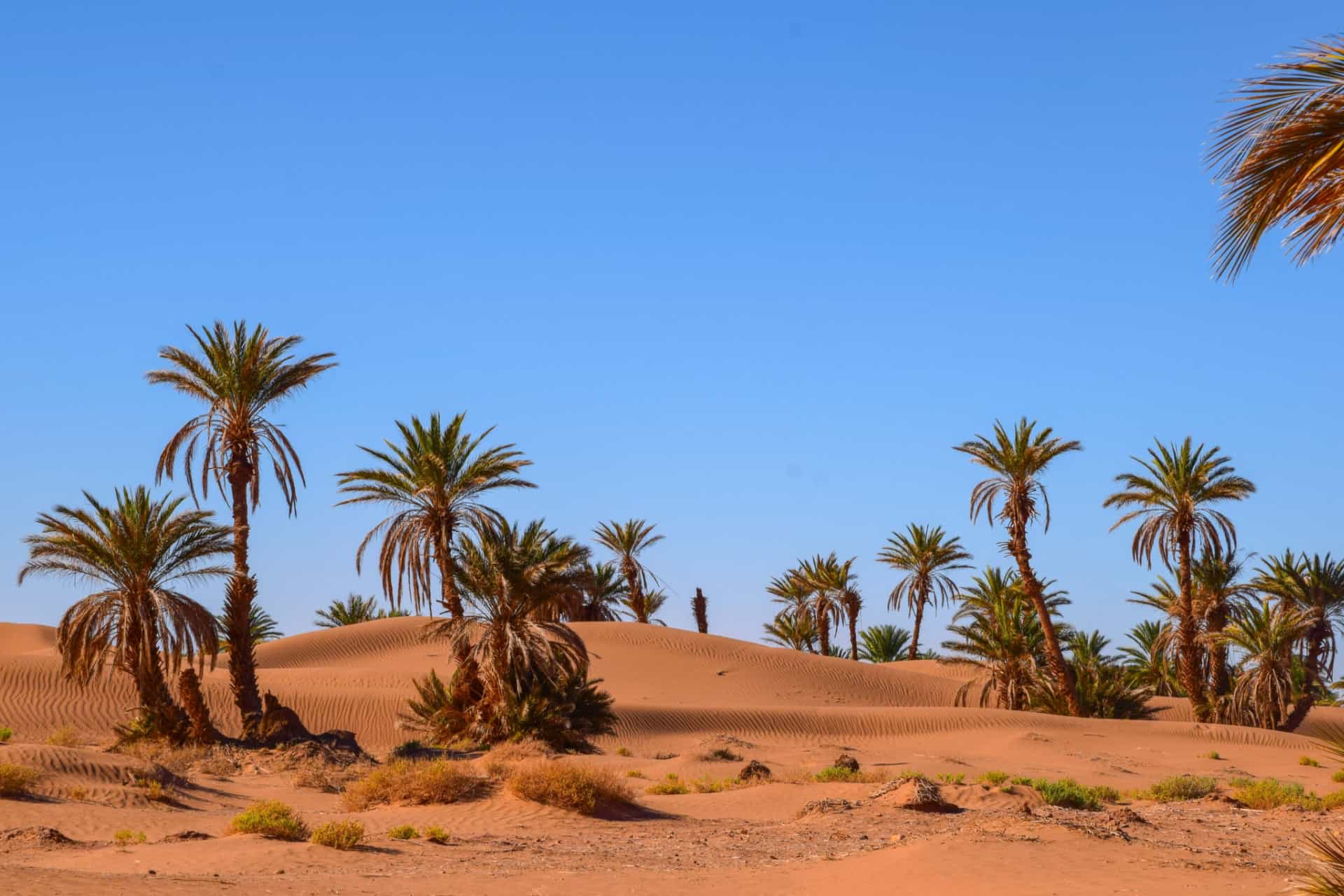 visiter le maroc