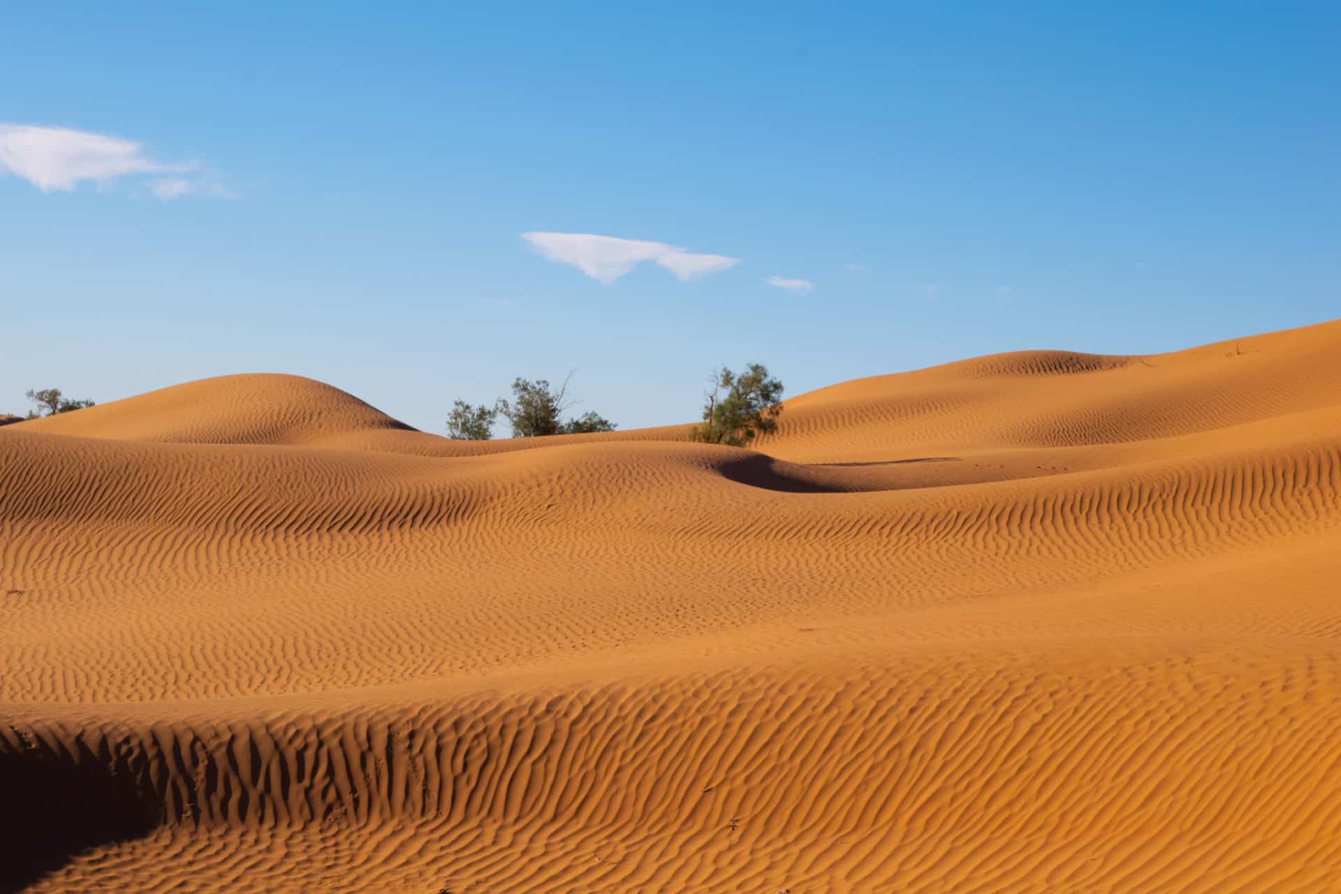 zagora