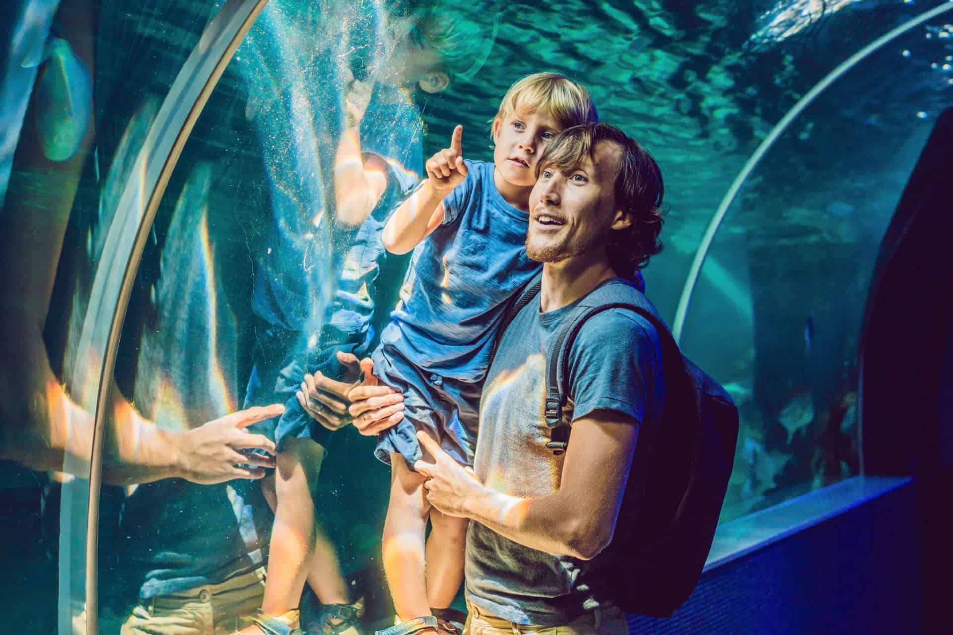 aquarium de dubai