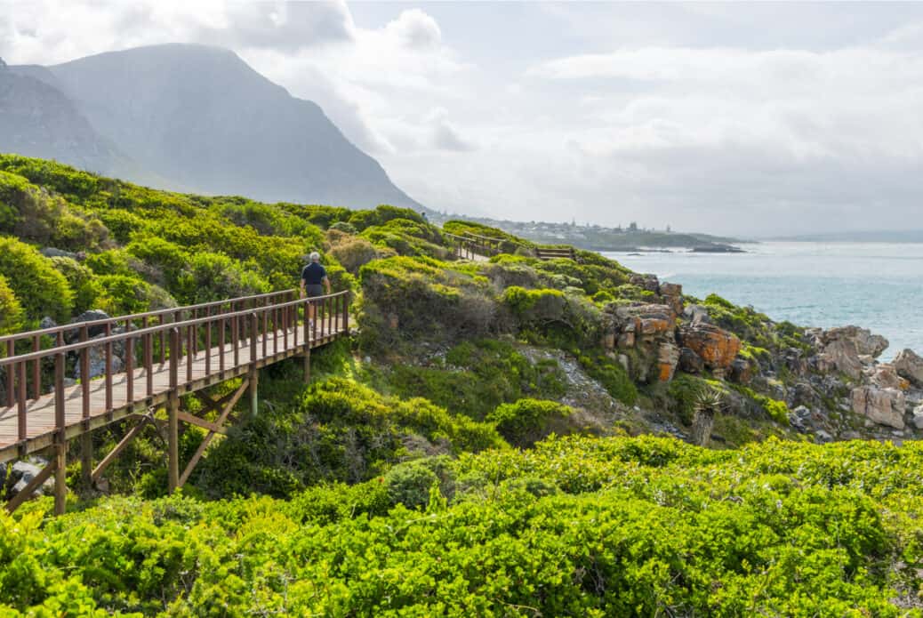 cliff path hermanus