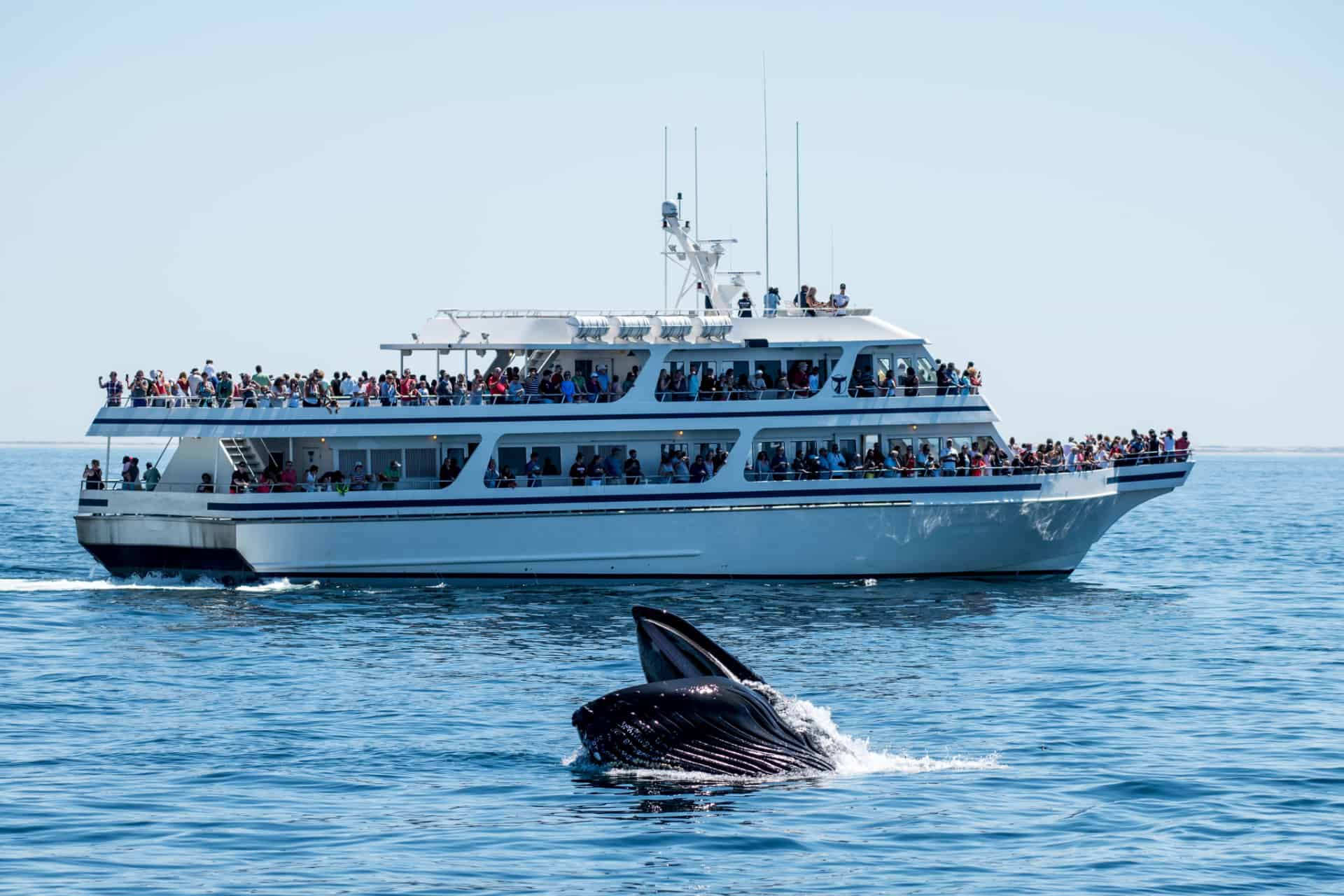 excursion en bateau