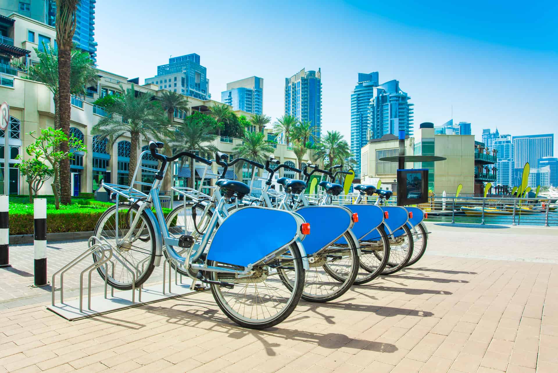 prix déplacement a dubai velo