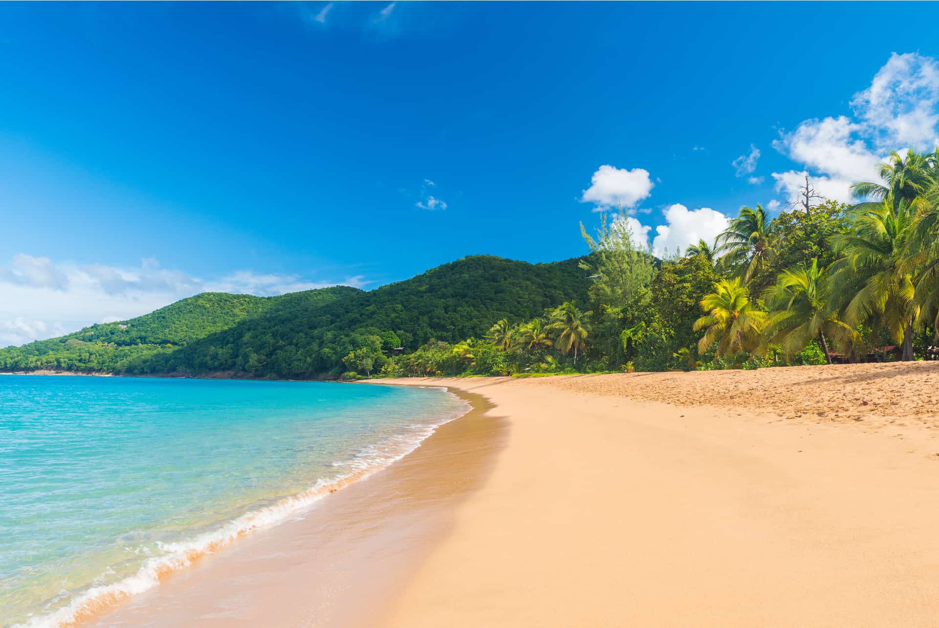 plages guadeloupe