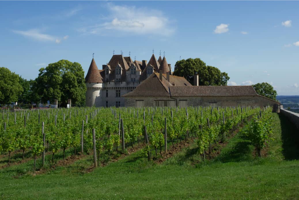 vignes monbazillac