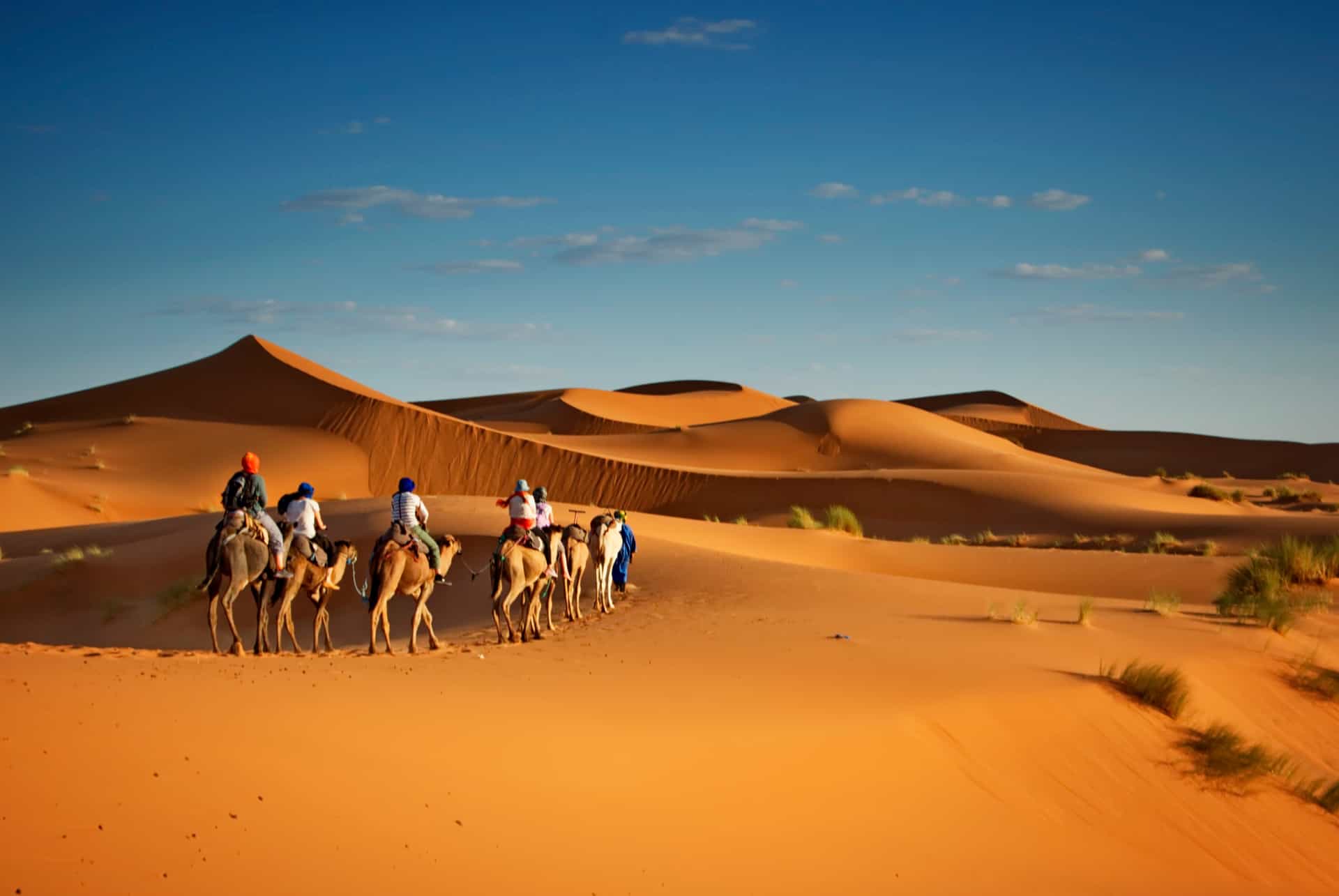 Merzouga desert