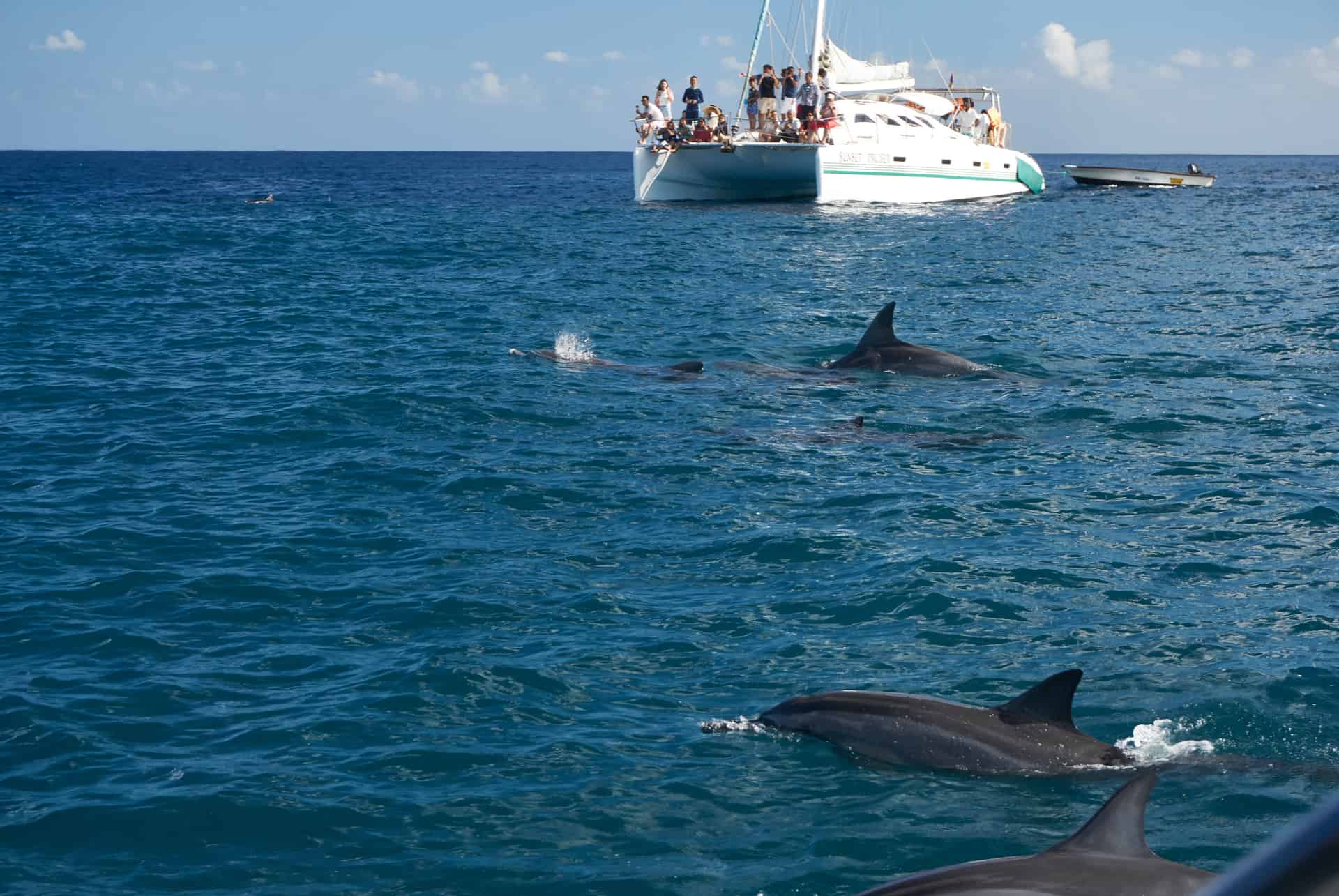 catamaran sortie ile maurice