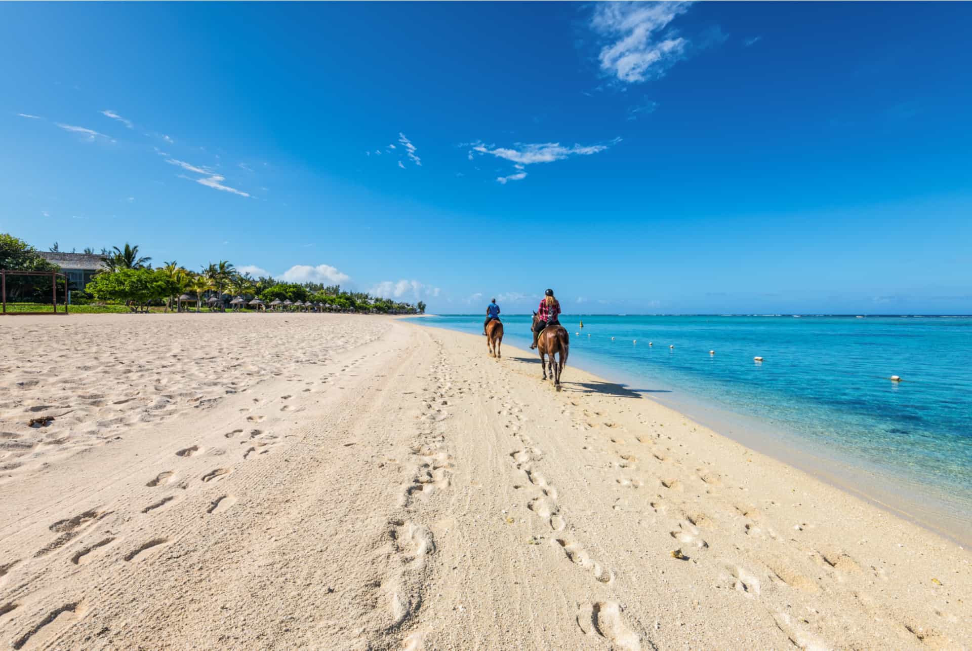 chevaux le morne ile maurice