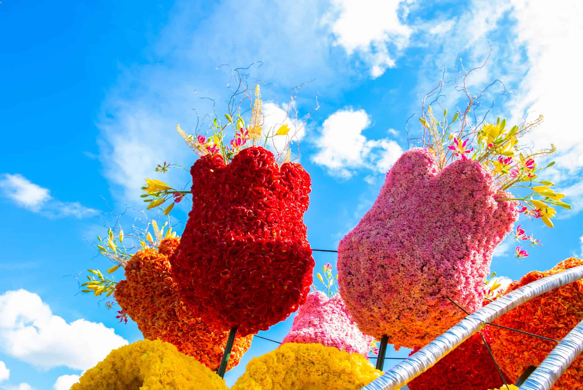 corso fleuri