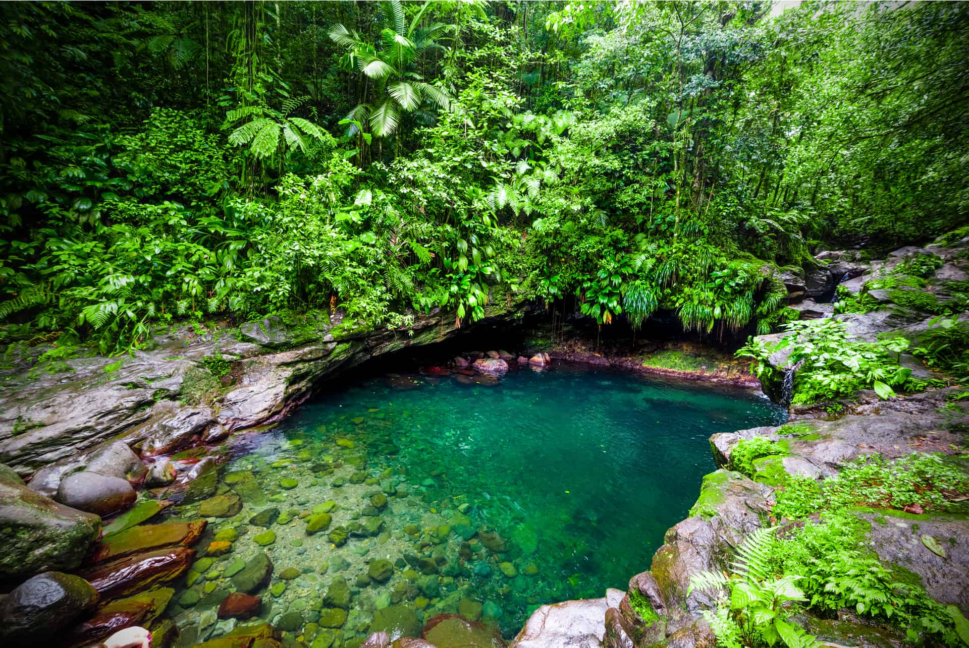 guadeloupe en decembre