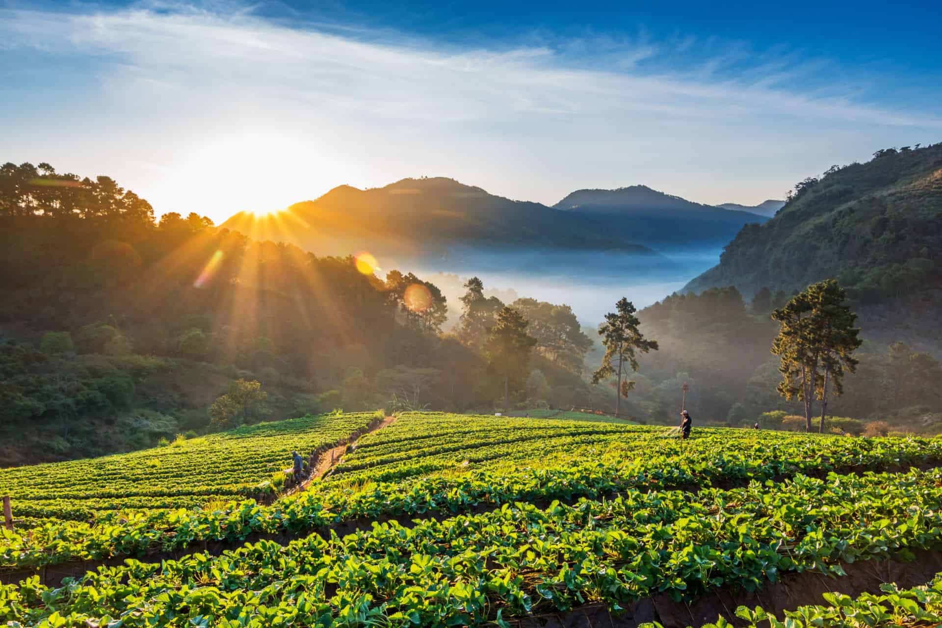 les plus beaux paysages a visiter de chiang mai