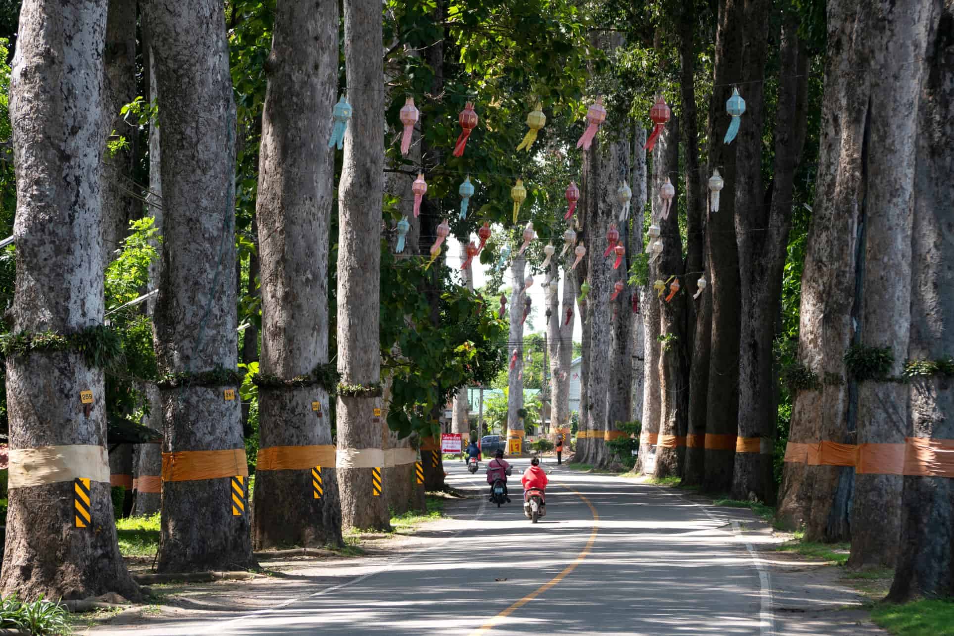 que faire et que voir chiang mai