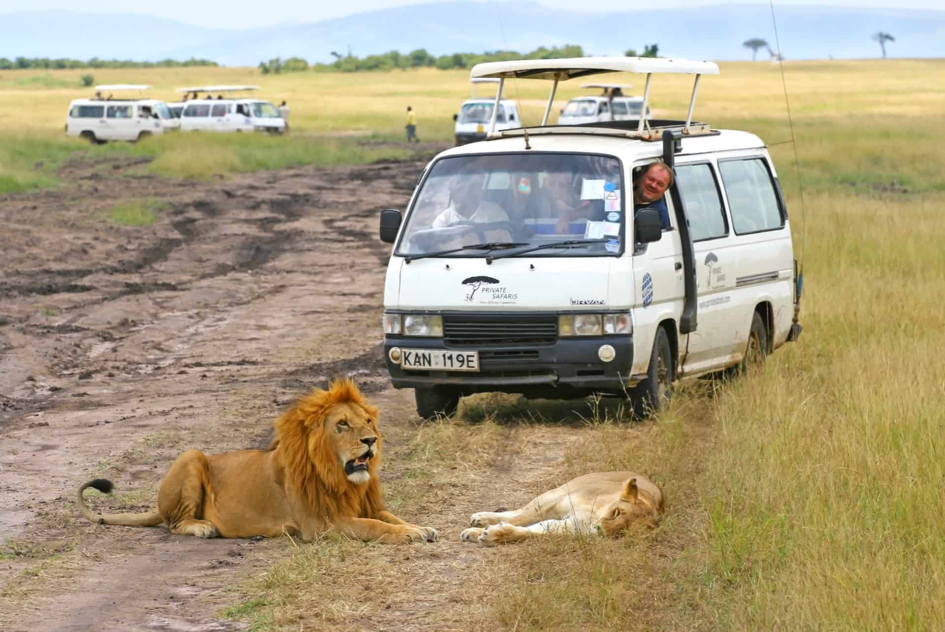 safari kenya agence locale