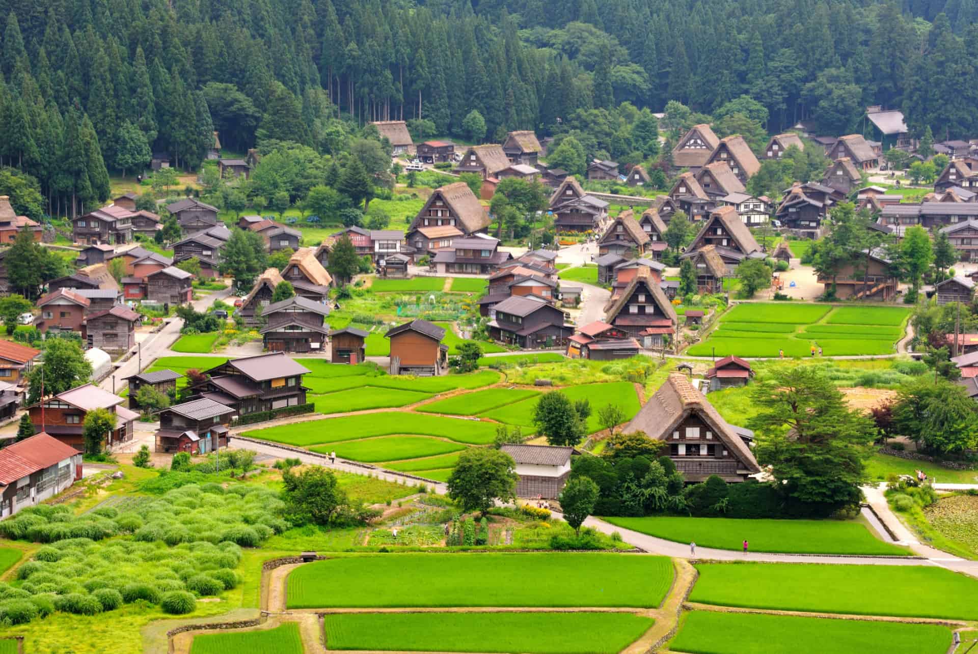 shirakawago que faire au japon