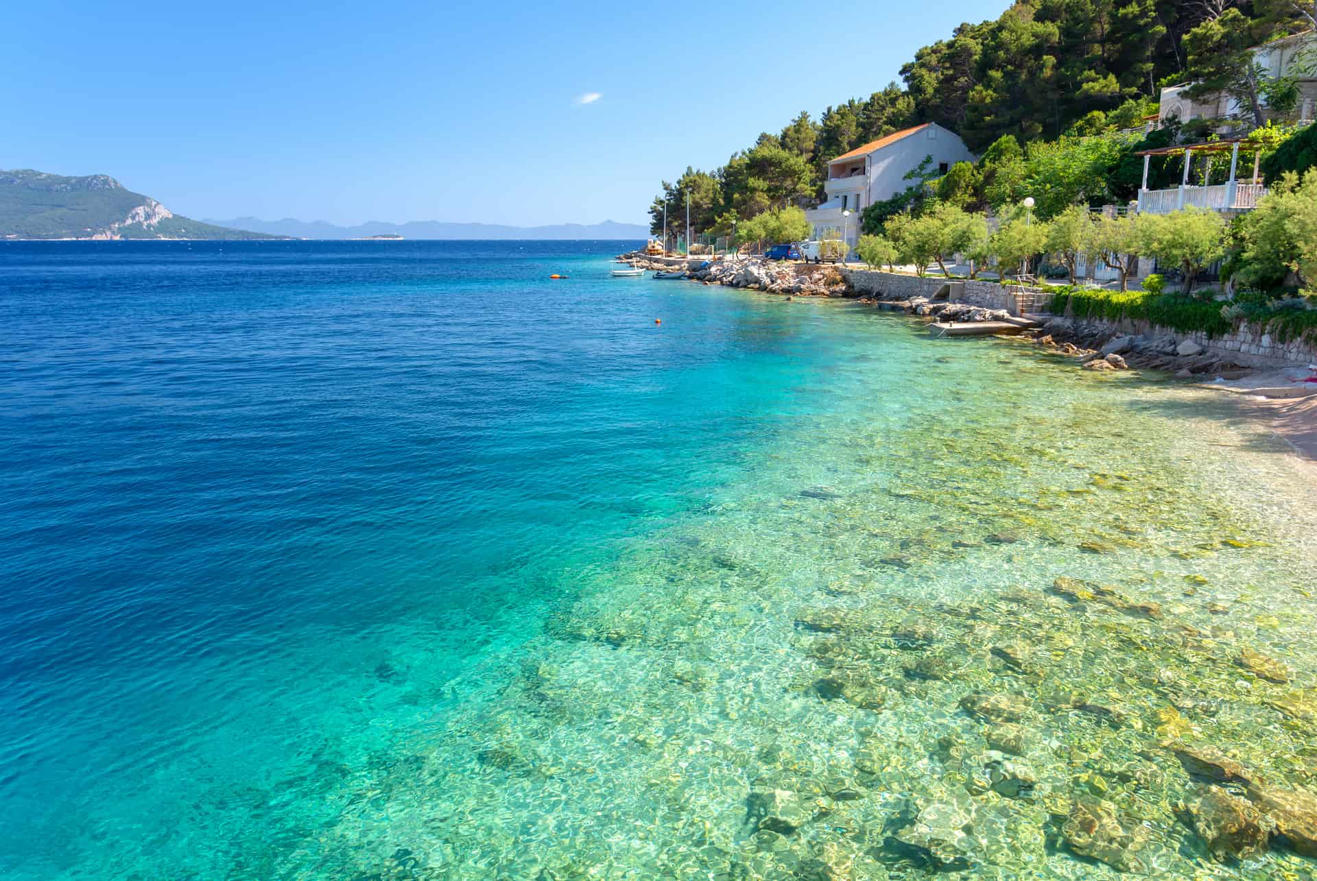 trstenik split