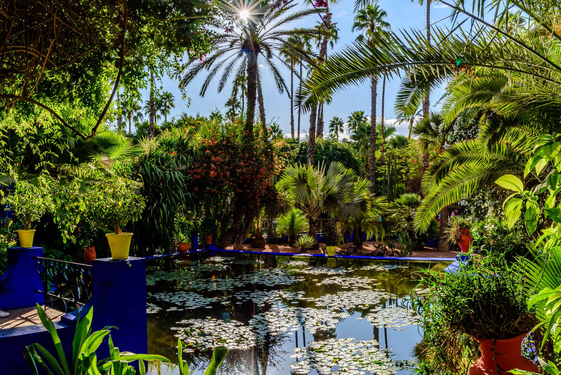 verdure jardin majorelle