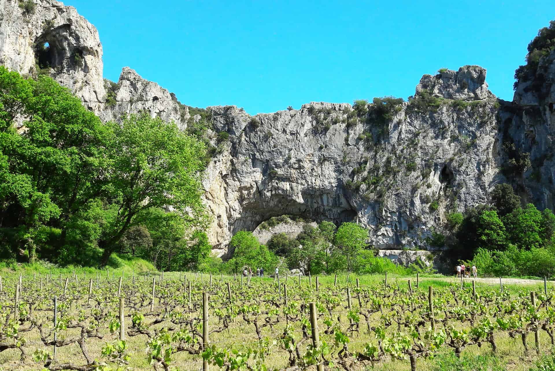 vignoble ardechois