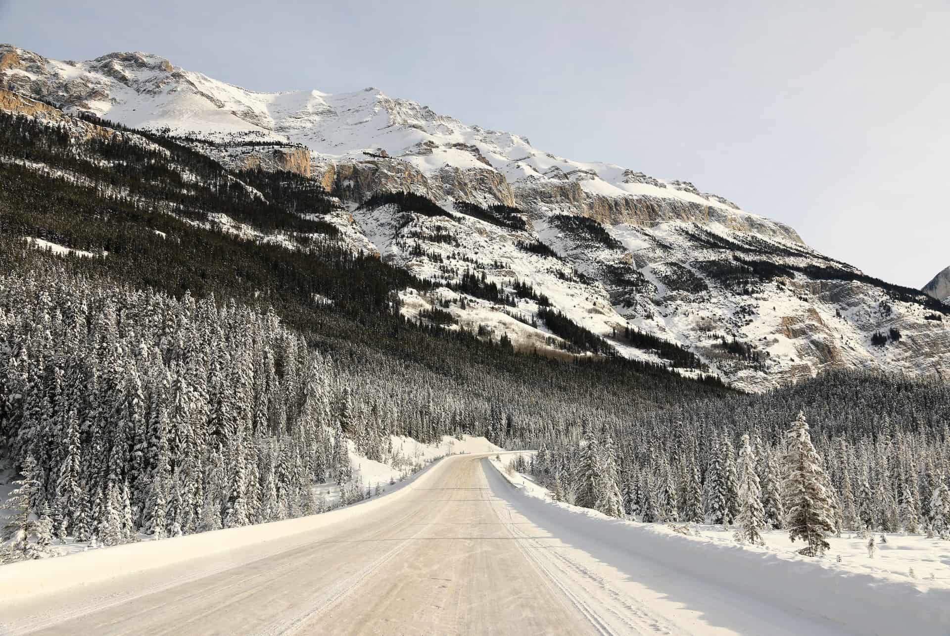 icefields parkway