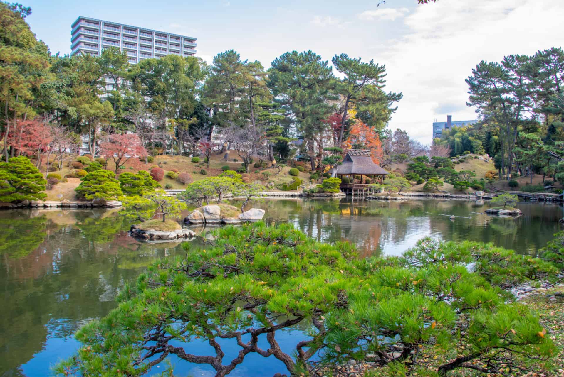 jardin botanique hiroshima