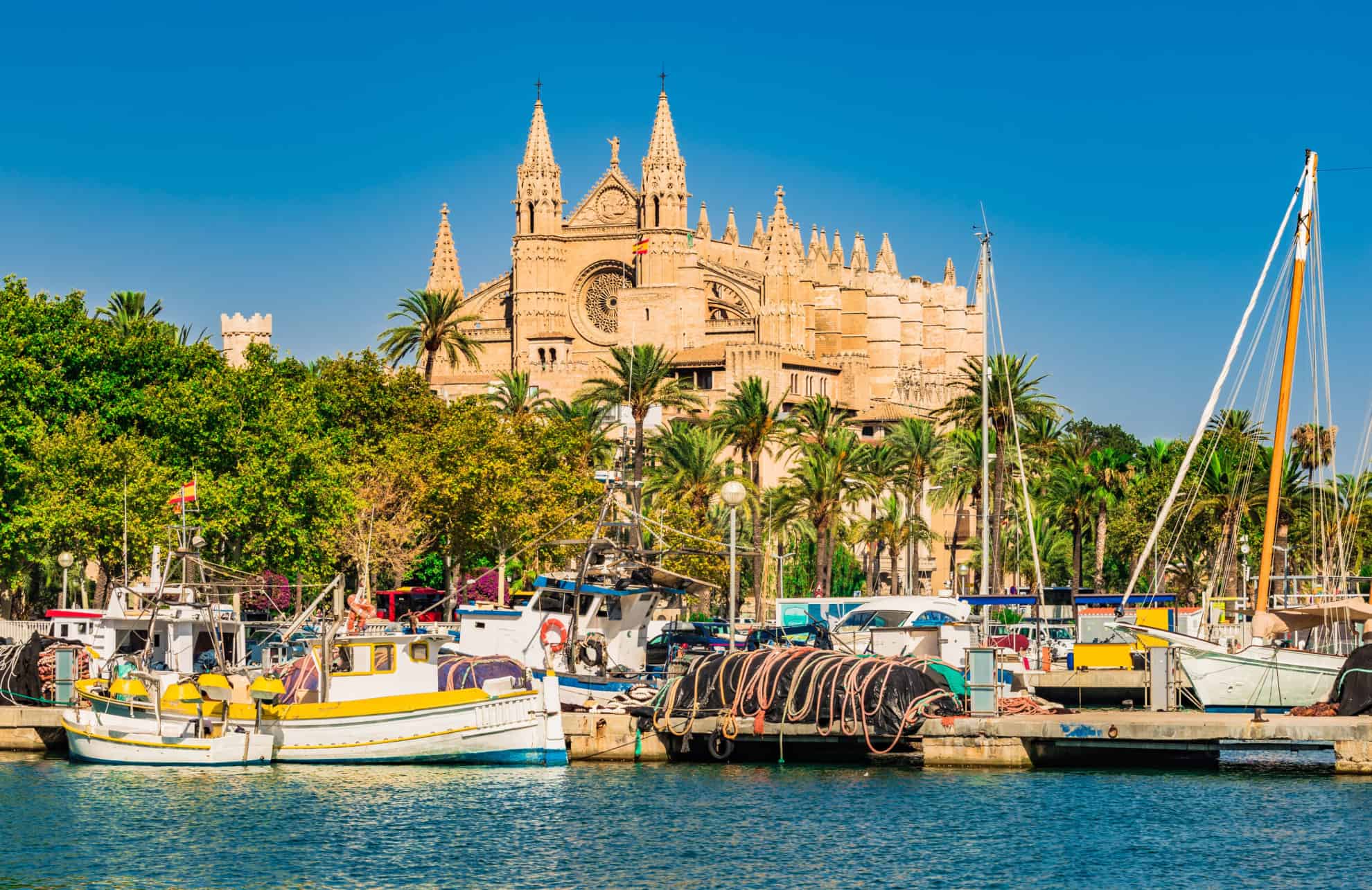 palma de mallorca