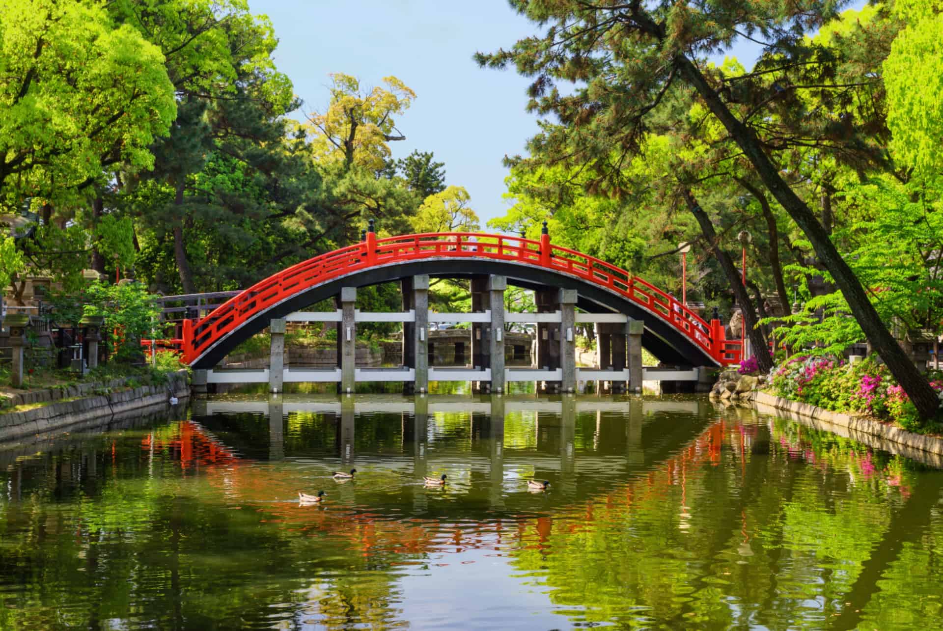 que faire a osaka sanctuaire sumiyoshi taisha