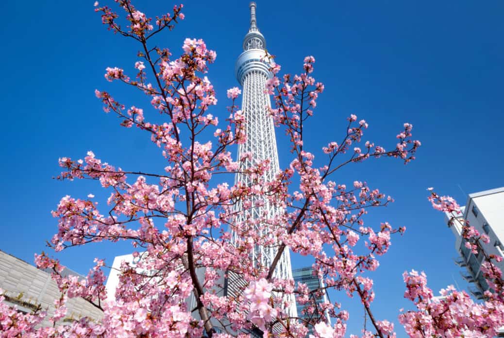 skytree tokyo