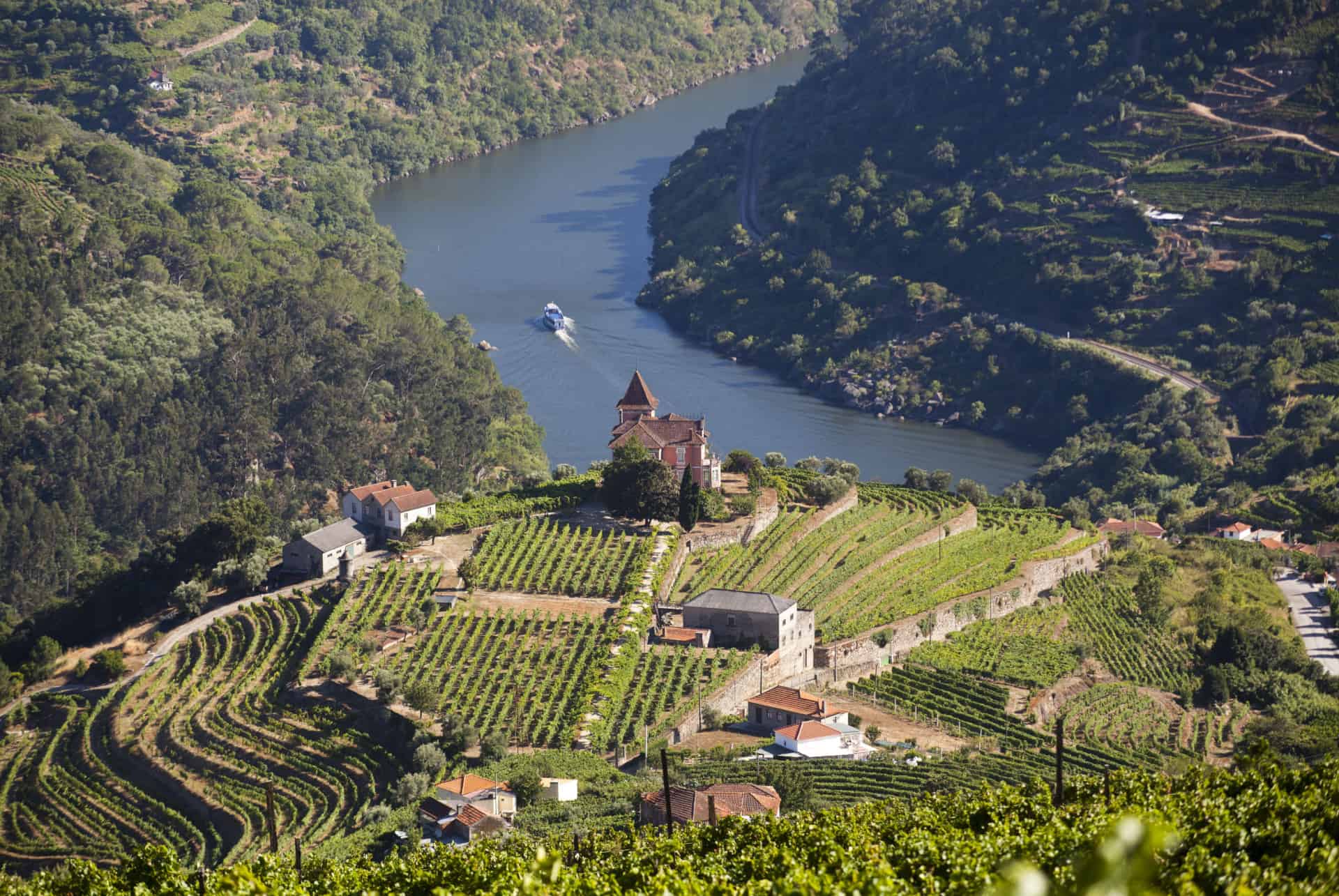vallee du douro