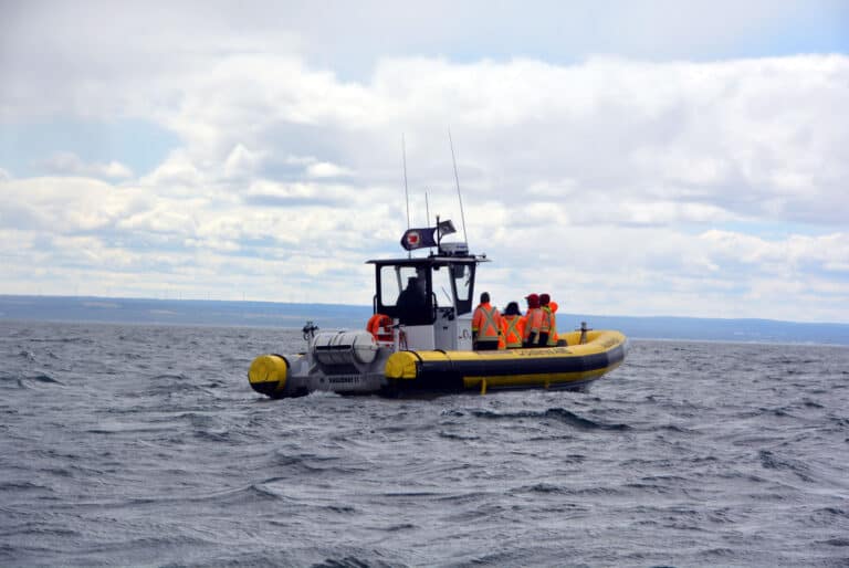 Excursion en zodiac pour observer les baleines