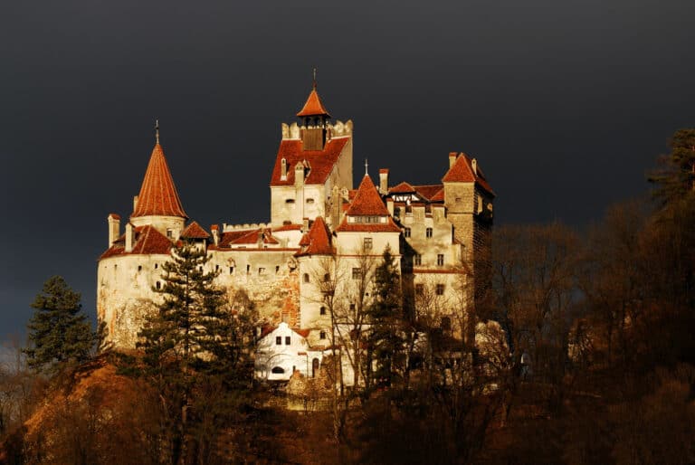 Billet pour le château de Bran