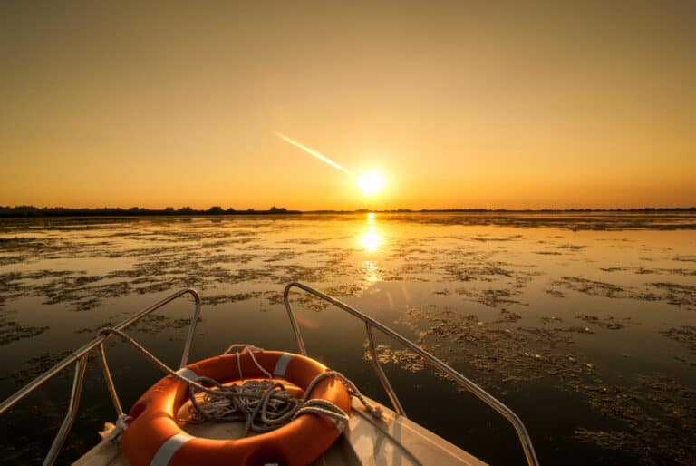 Excursion sur le Delta du Danube