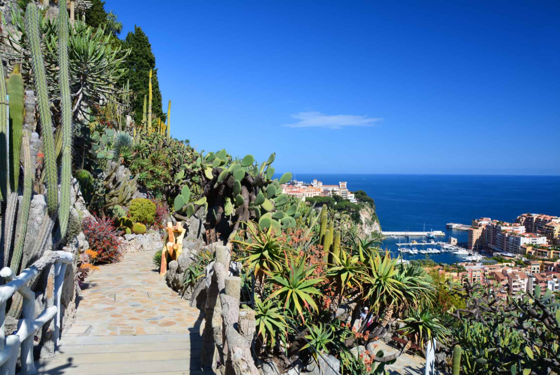 jardin exotique monaco