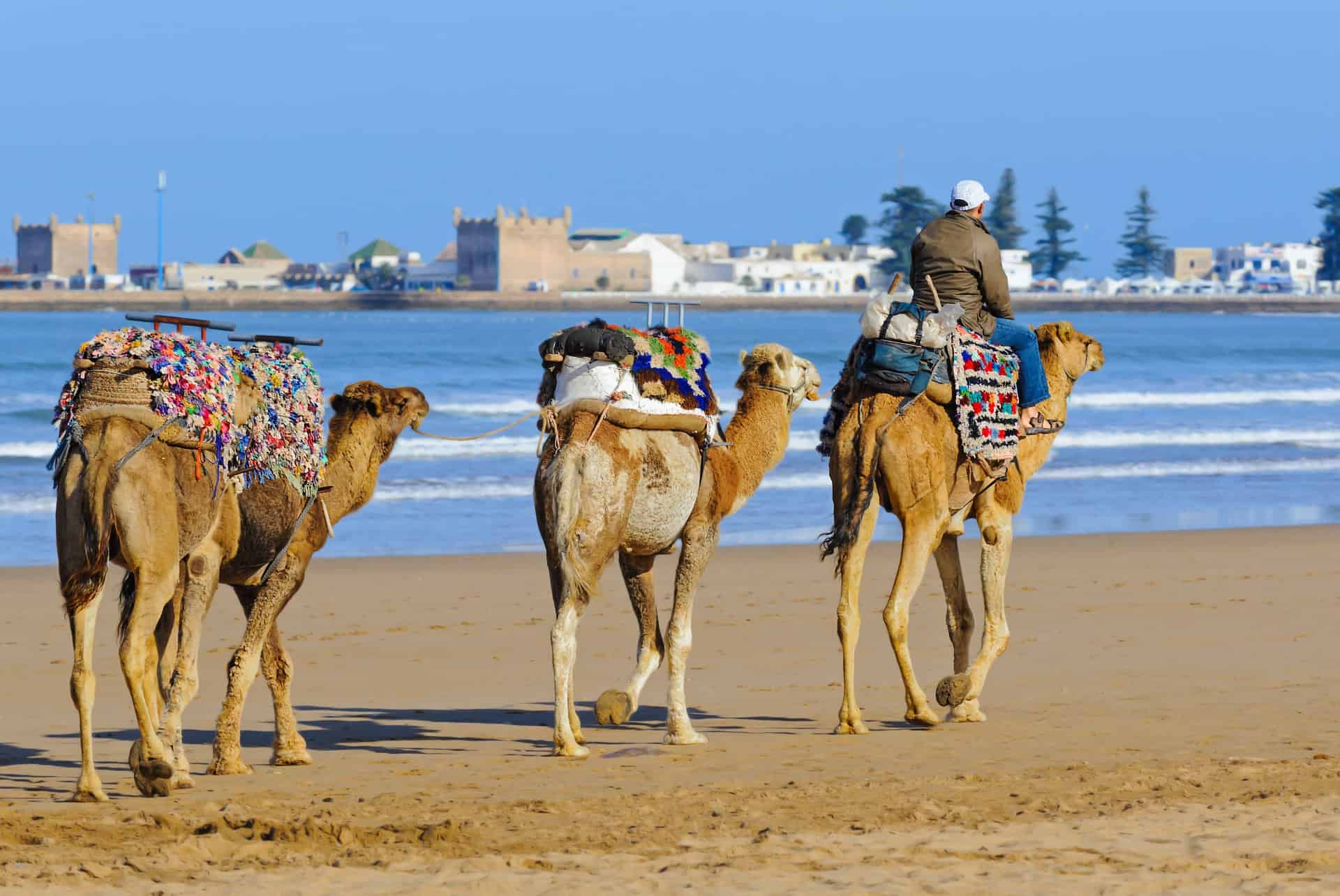 loger plage essaouira