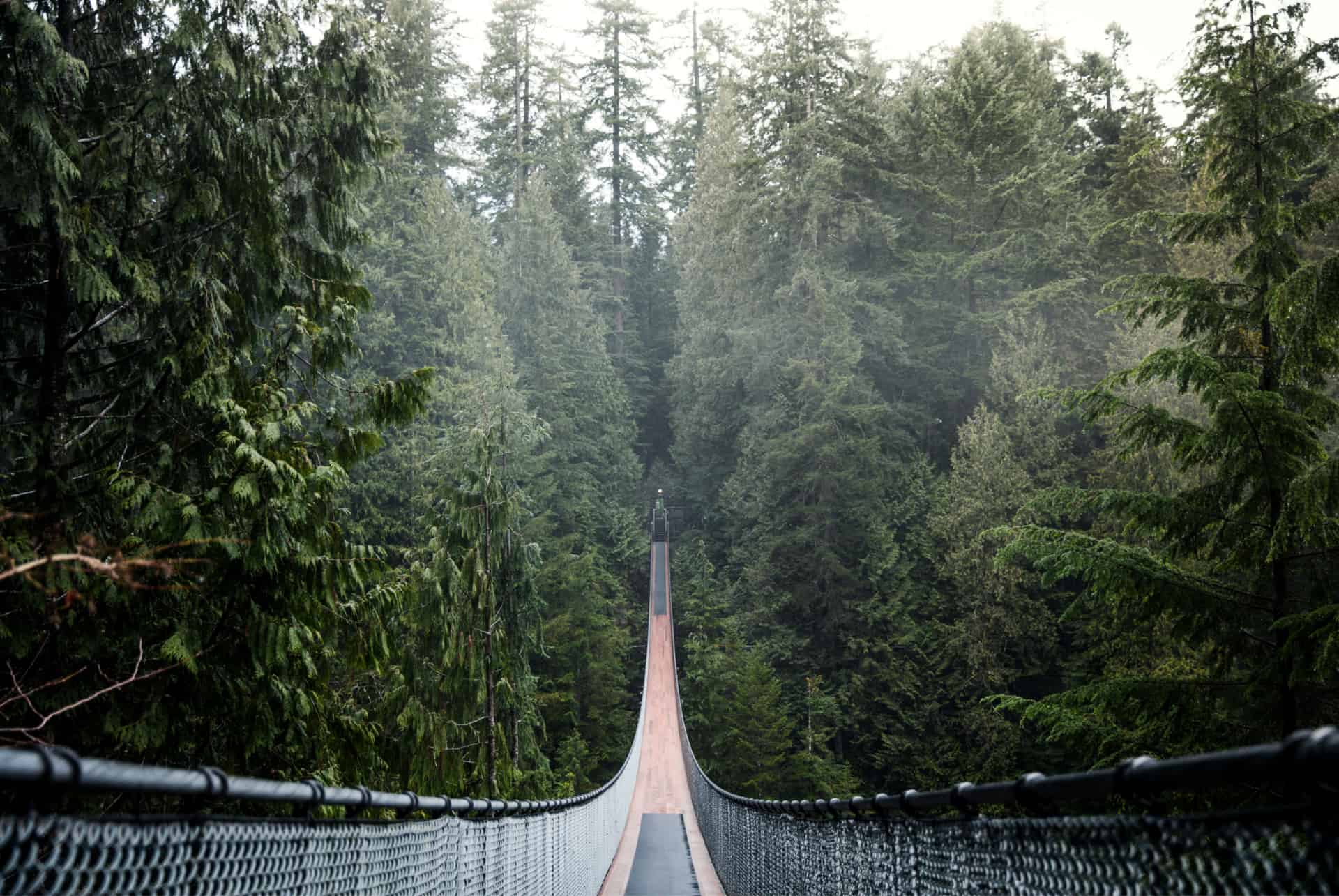 pont suspendu capilano road trip au canada