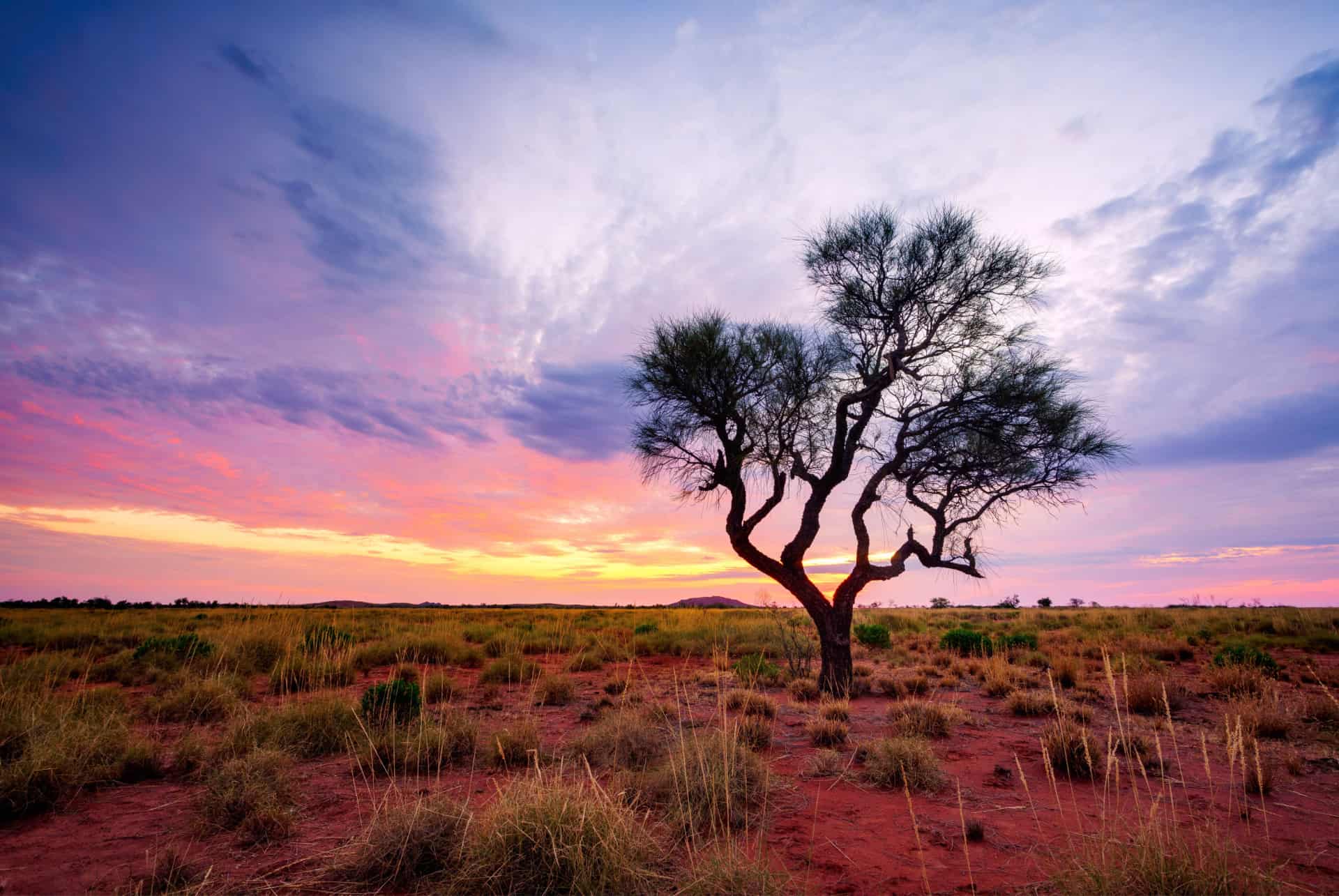 que faire en road trip en australie