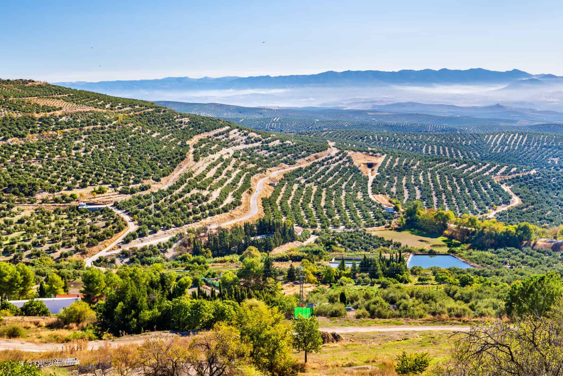 visiter l'andalousie en 7 jours