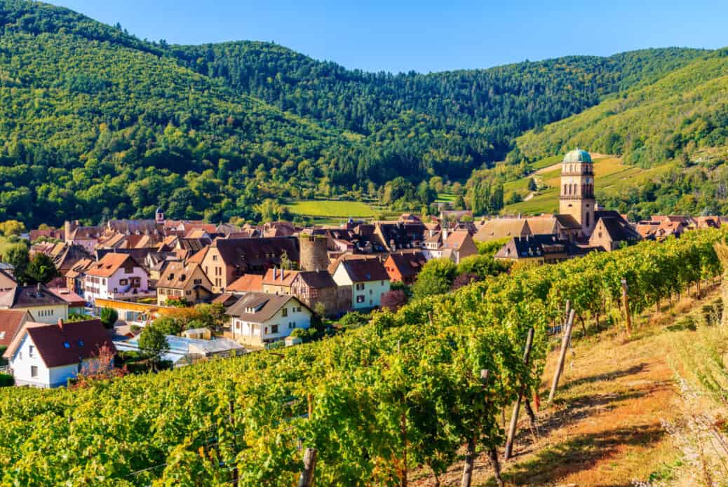 route des vins alsace