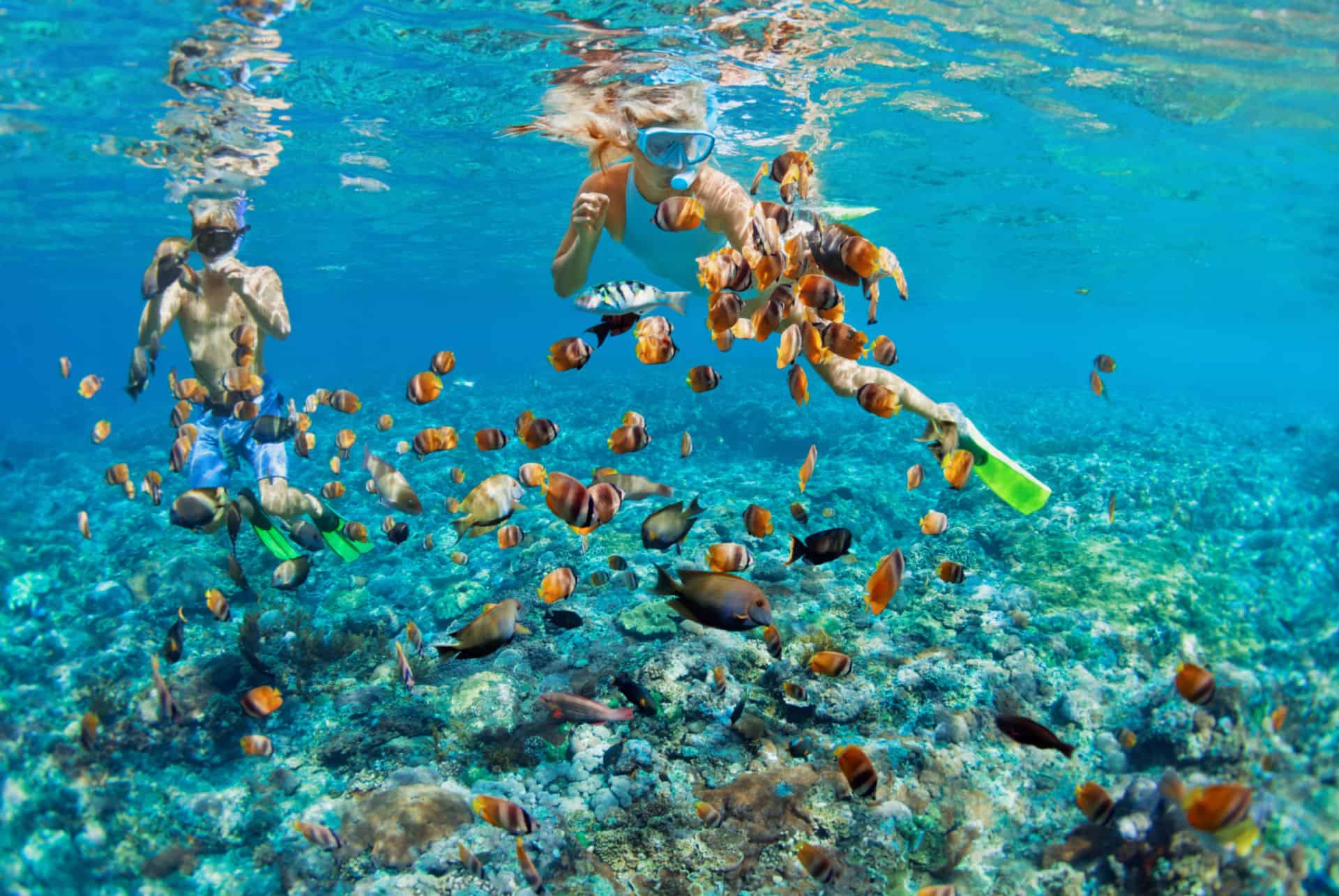 snorkeling phuket