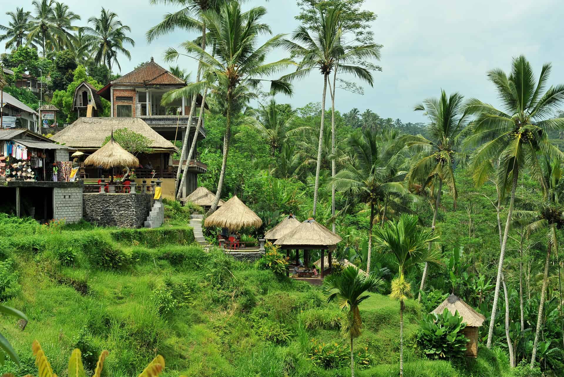 visiter ubud