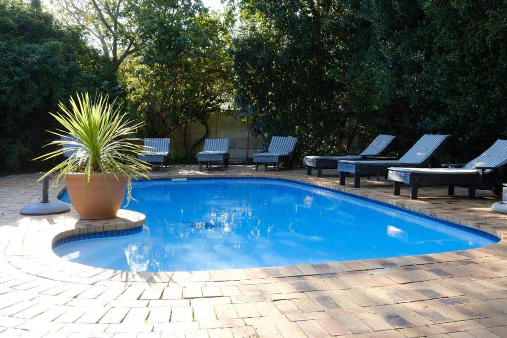 white lodge dormir cape town