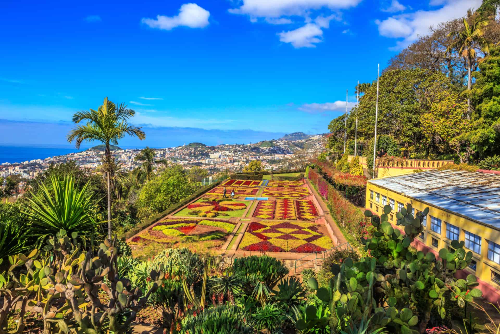 jardins botaniques funchal visiter madère