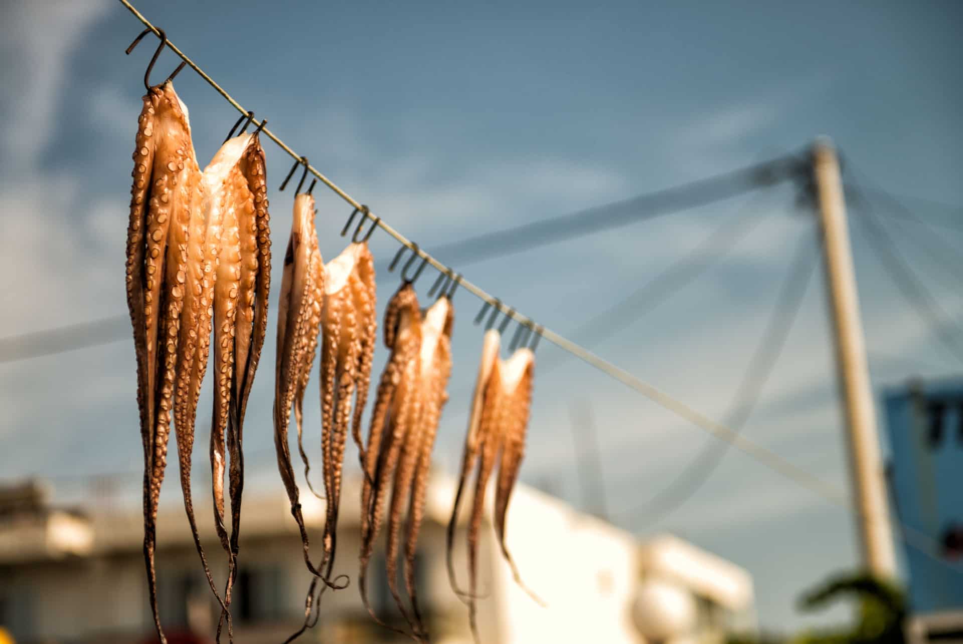 mastichari dormir kos