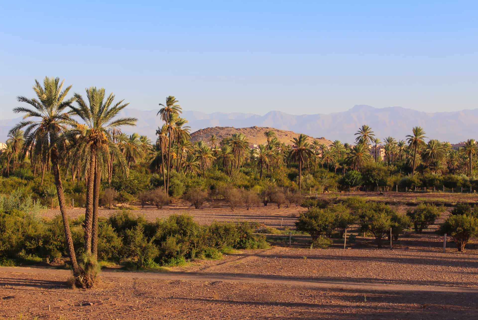 palmeraie marrakech