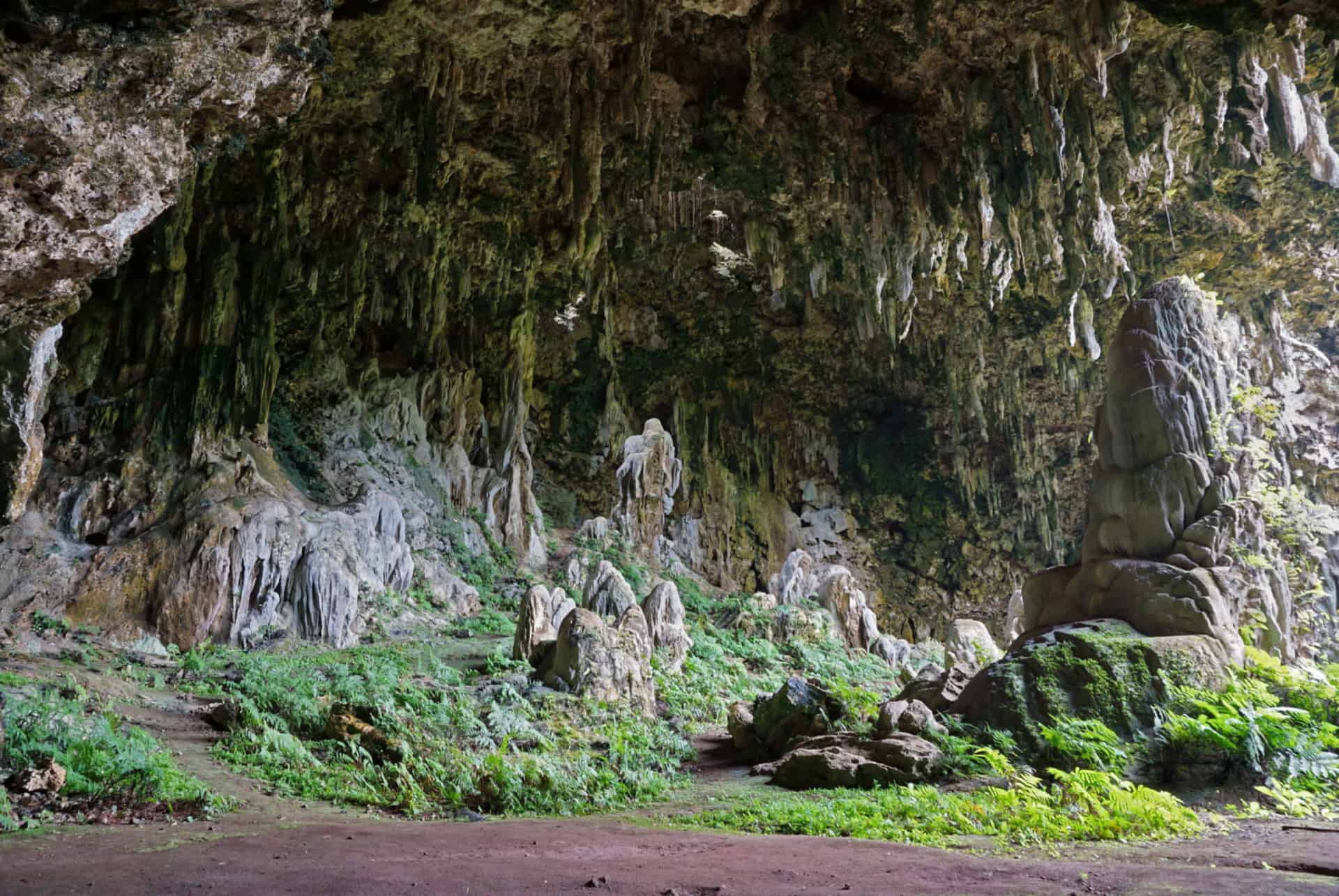 que faire polynesie ile rurutu