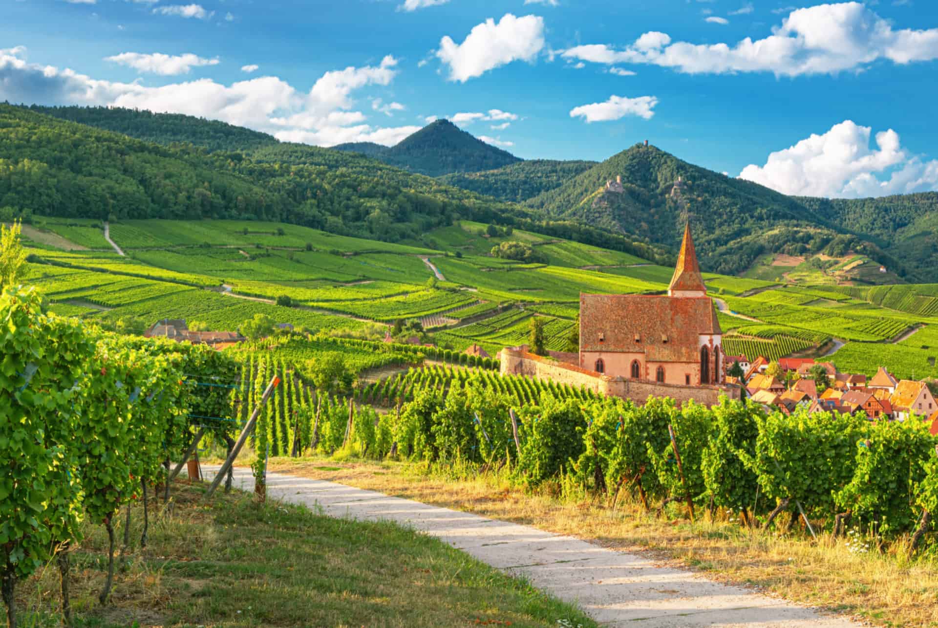 route des vins d'alsace