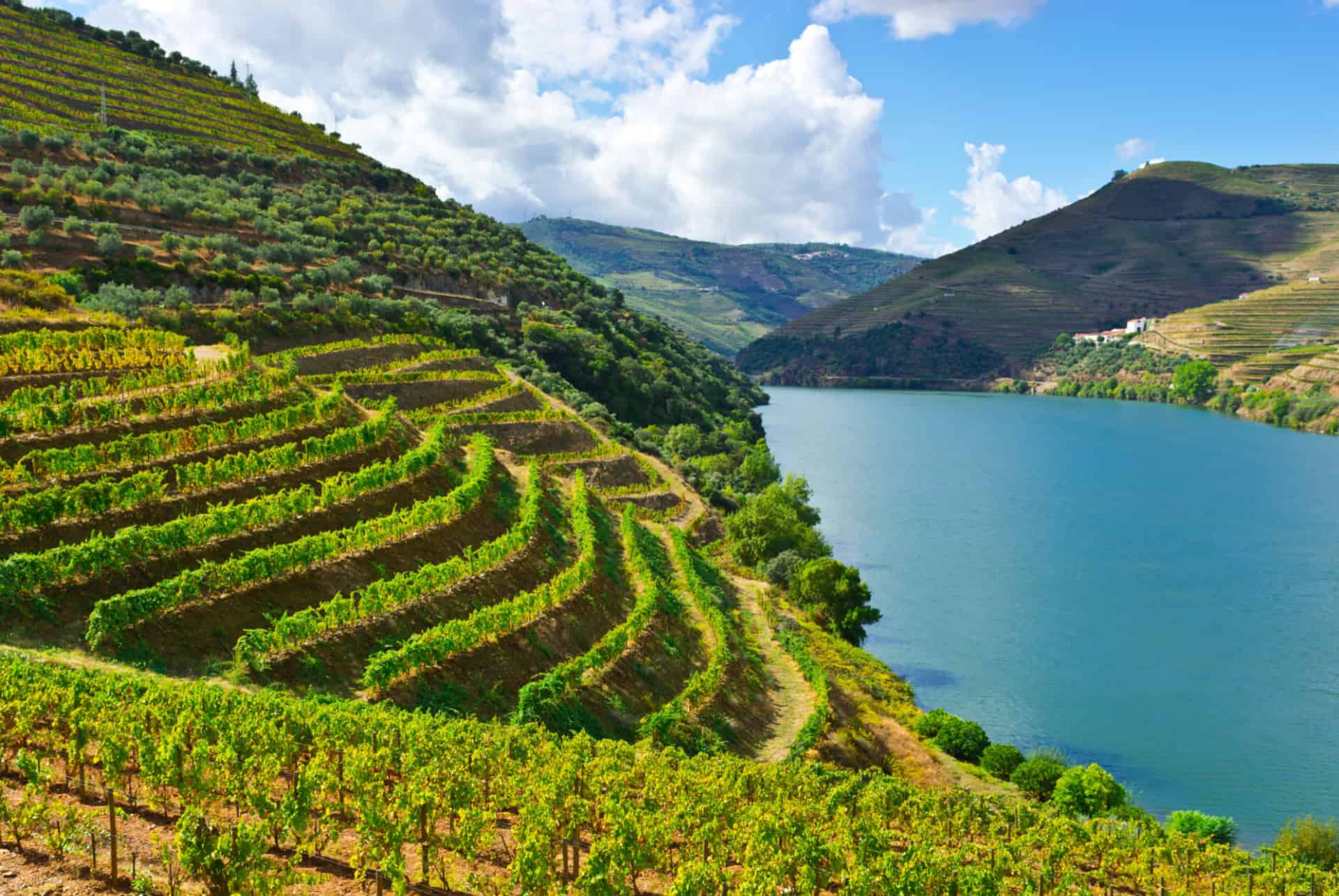 vallée du douro