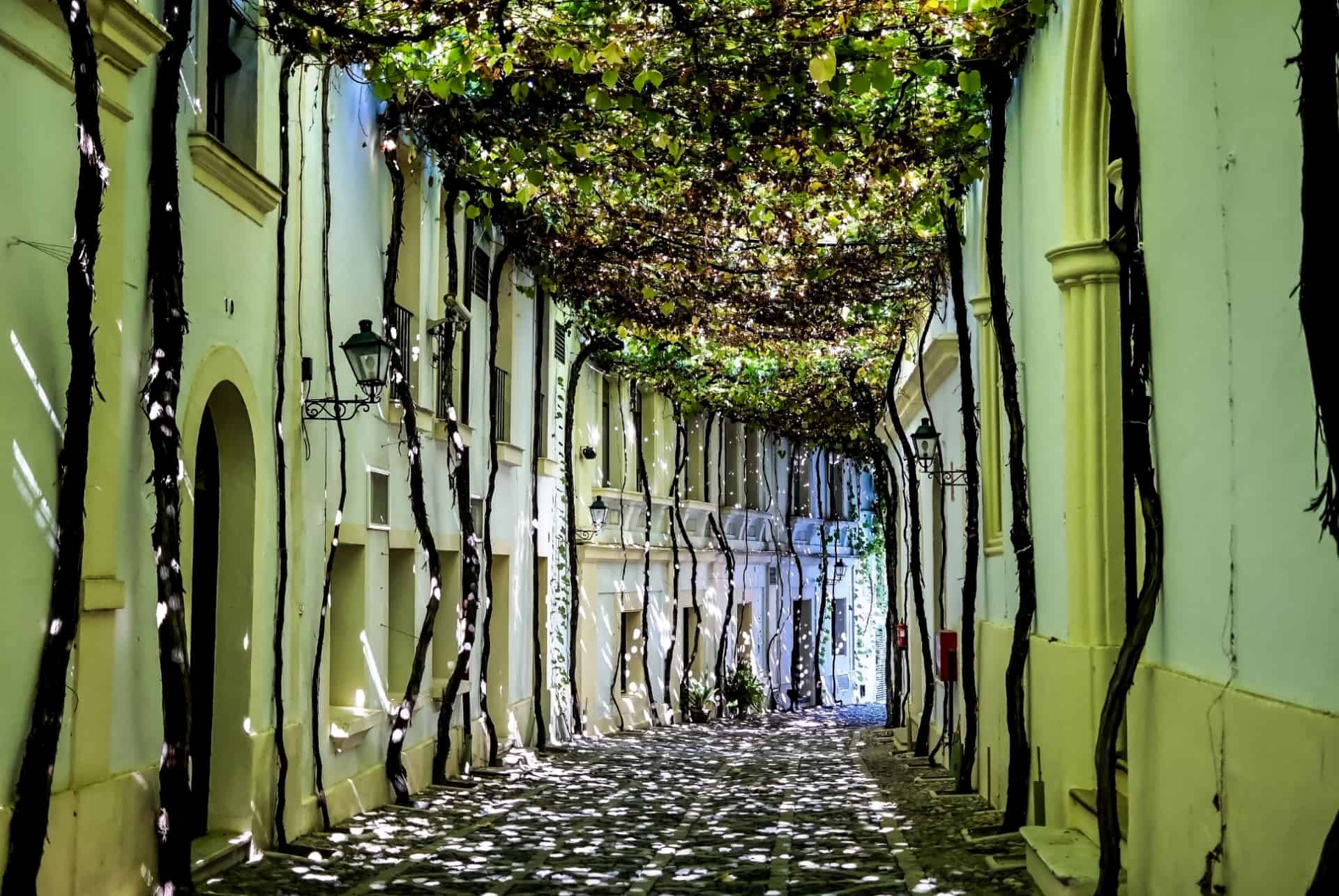 visiter andalousie jerez de la frontera