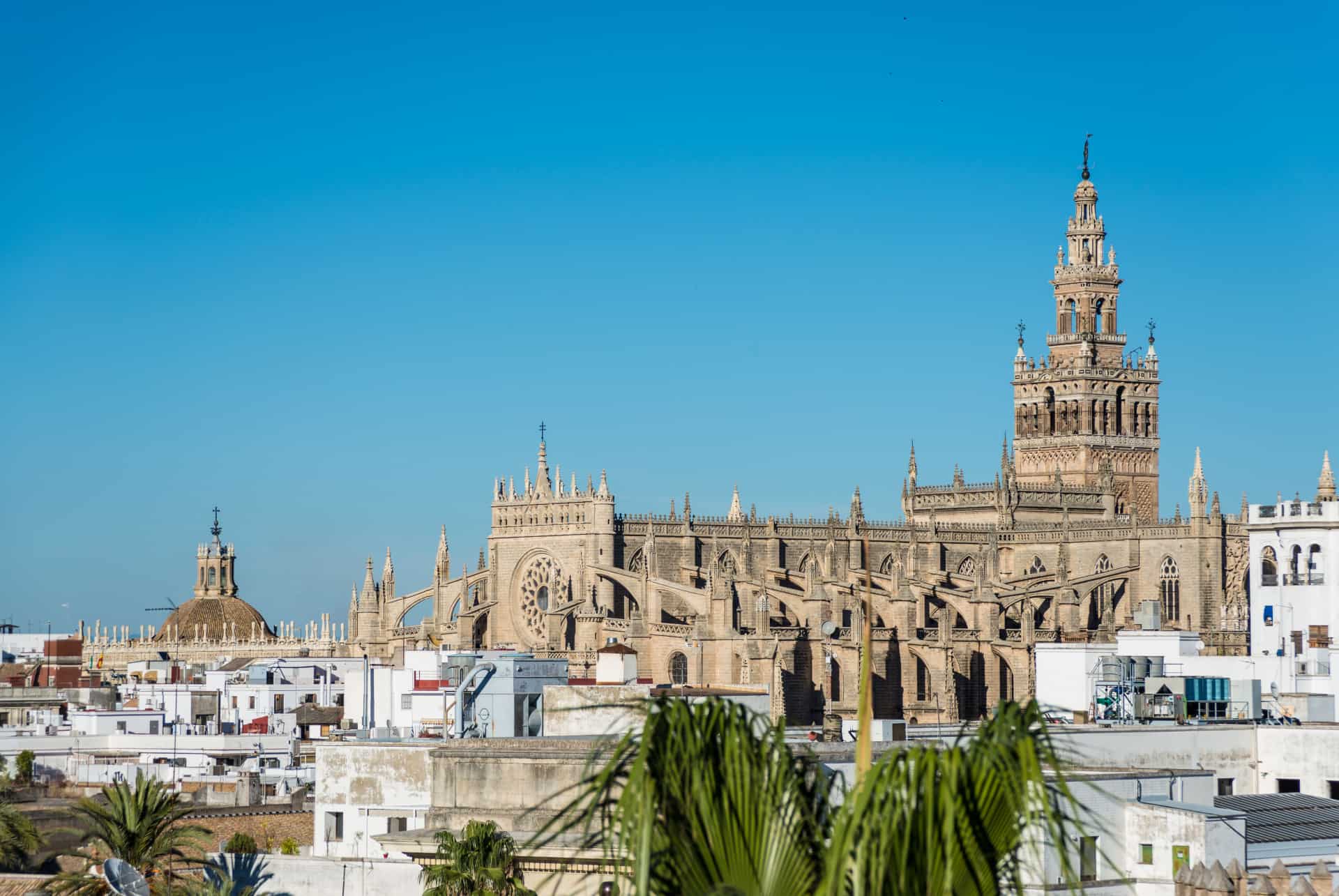visiter cathedrale seville andalousie