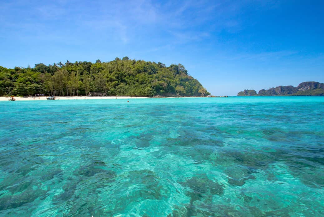 bamboo island