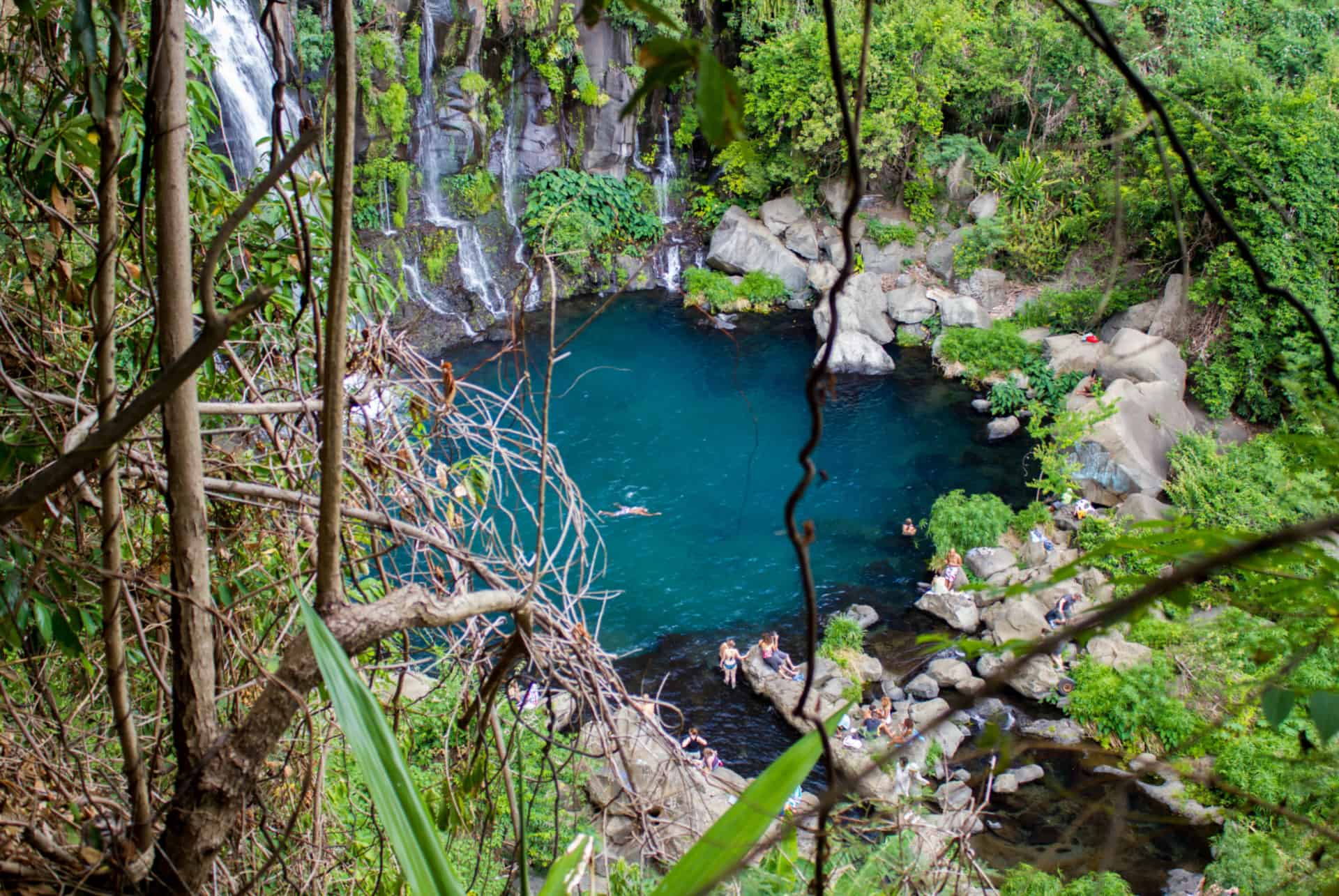 bassin du cormoran